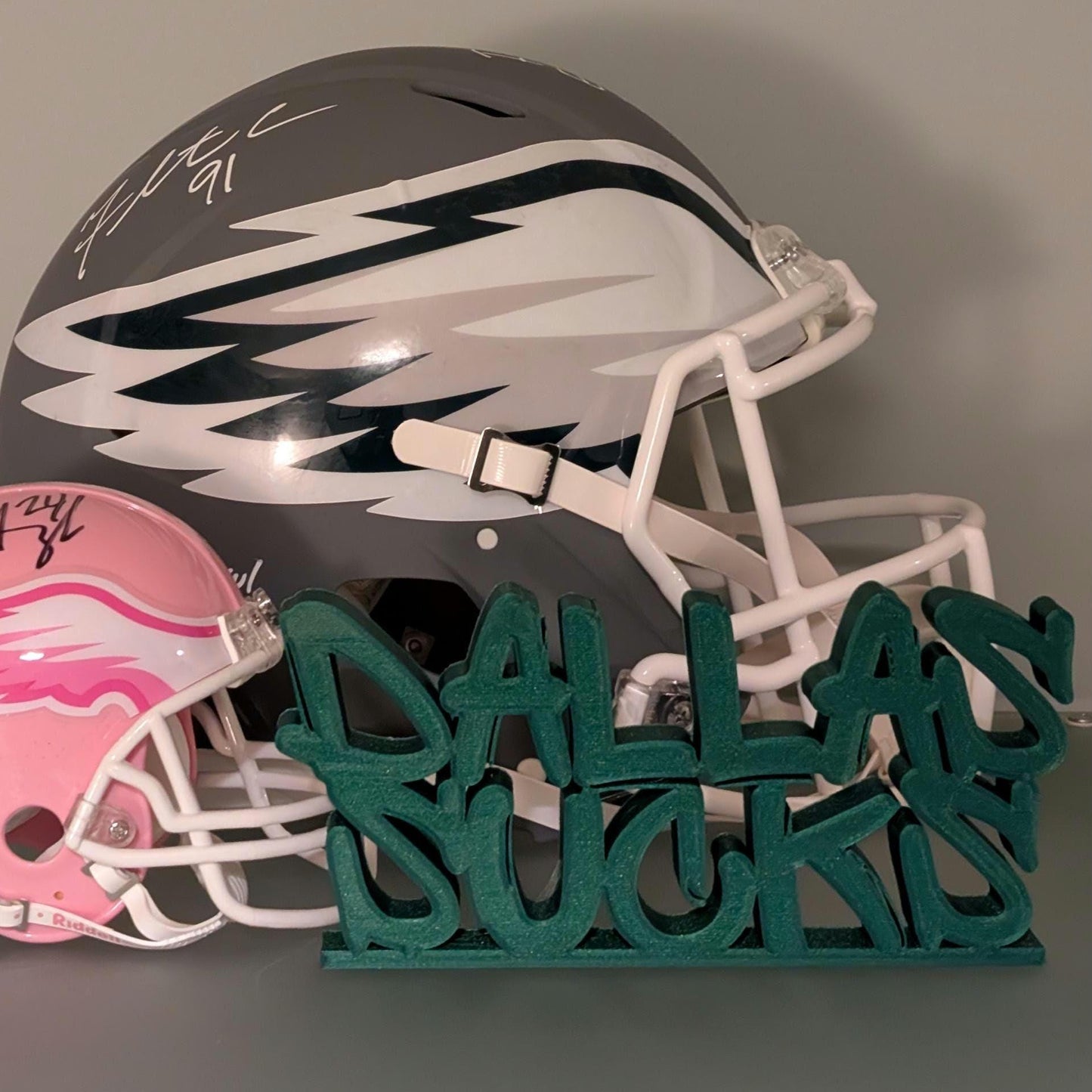 Philadelphia Eagles or Washington Commanders Dallas Sucks Sign For Mancave - 8x4 inches